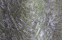 Barkston Ash fibreglass roof work